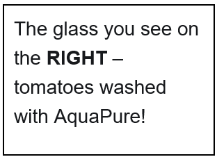 Cuadro de texto: The glass you see on the RIGHT – tomatoes washed with AquaPure!    