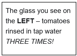 Cuadro de texto: The glass you see on the RIGHT – tomatoes washed with AquaPure!    