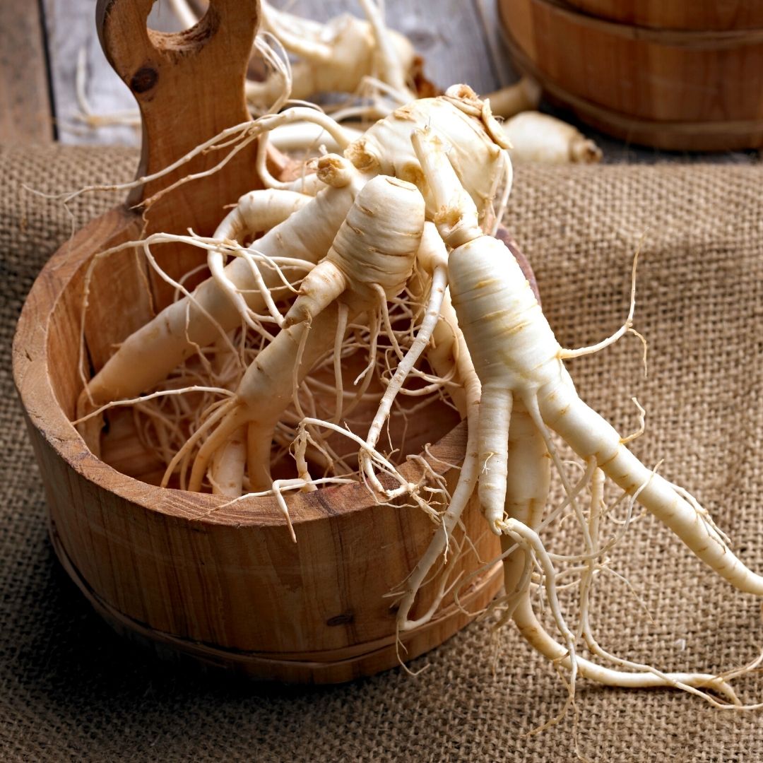 ginseng